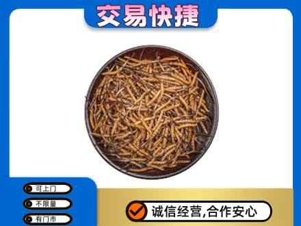 安阳高价回收散虫草