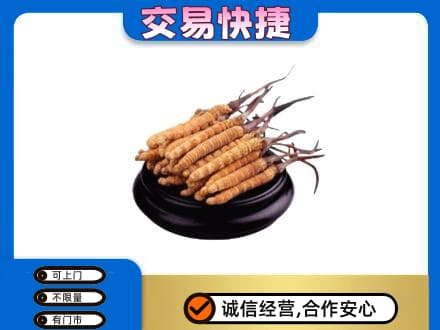 安阳回收冬虫夏草多少钱每克